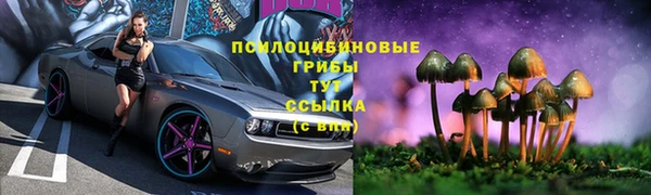 гашик Армянск