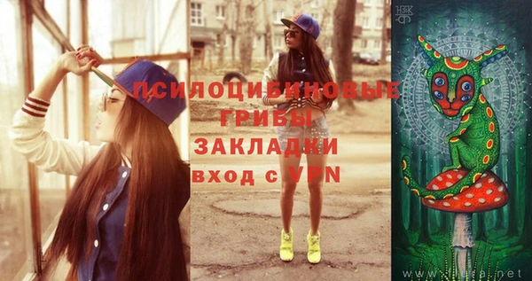 2c-b Арсеньев