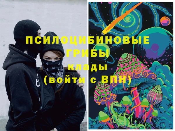 2c-b Арсеньев